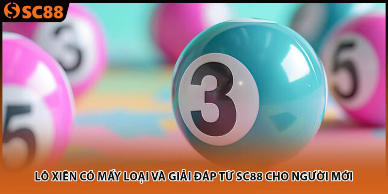 Lô Xiên Có Mấy Loại Và Giải Đáp Từ SC88 Cho Người Mới